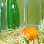 Gelee mit Orangen und Holunder