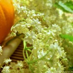 Holunderblüten, Rezept