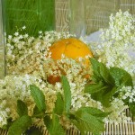 Holunderblüten, Rezept