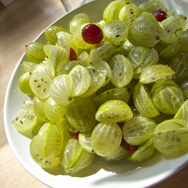 Obstkuchen mit Stachelbeeren und Marshmellows