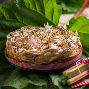 leckere Kuchenrezepte mit Rhabarber